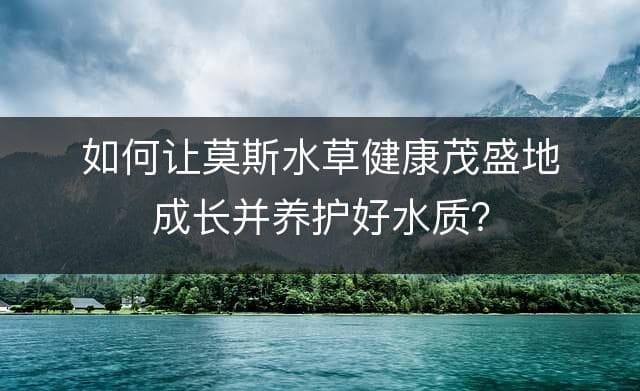 如何让莫斯水草健康茂盛地成长并养护好水质？