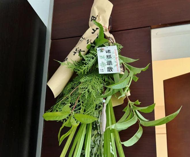 端午节插艾草的讲究：5个传统习俗要点详解
