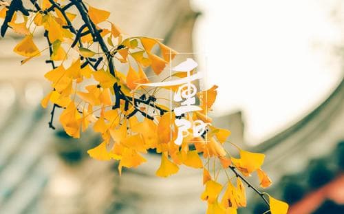 重阳节文化内涵是什么？重阳节的由来和风俗简介