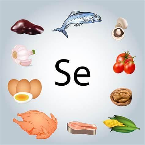 科学补硒：这些食物帮你防癌抗氧化