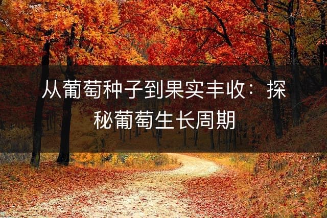 从葡萄种子到果实丰收：探秘葡萄生长周期