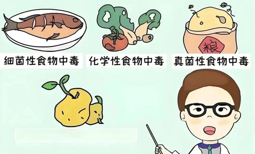 食物中毒：定义、分类、发病机制及预防措施