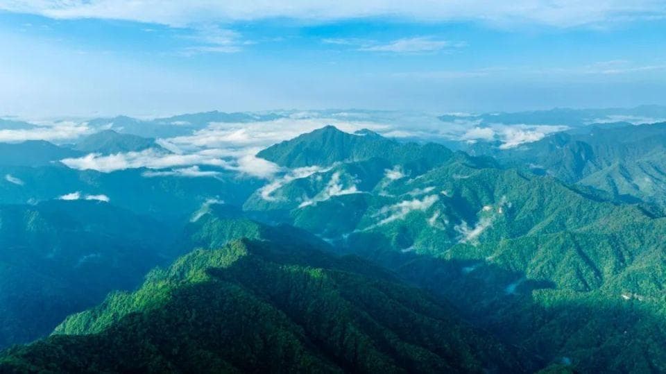 绿染秦岭万象新