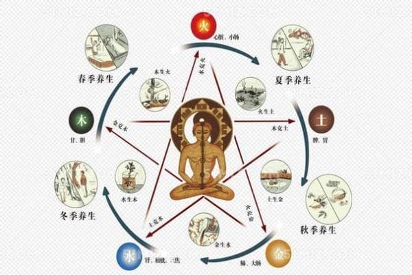 五行概念解析与生活中的实际应用