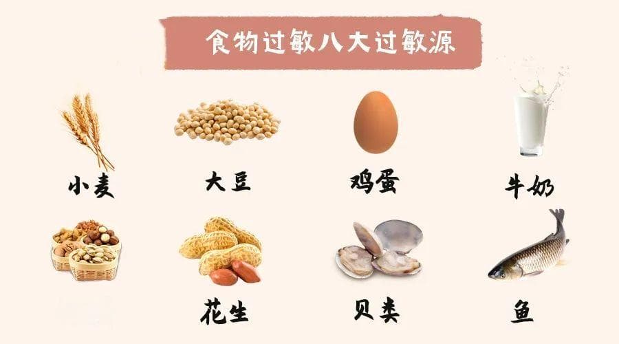 8类食物最易引起过敏！这份食谱让你避免“舌尖上的危险”