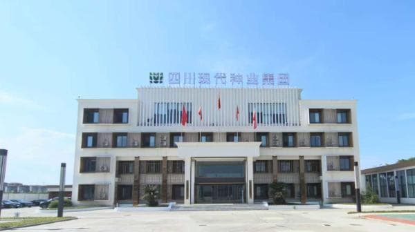 从濒临灭绝到餐桌新宠：雅南猪的科技逆袭之路