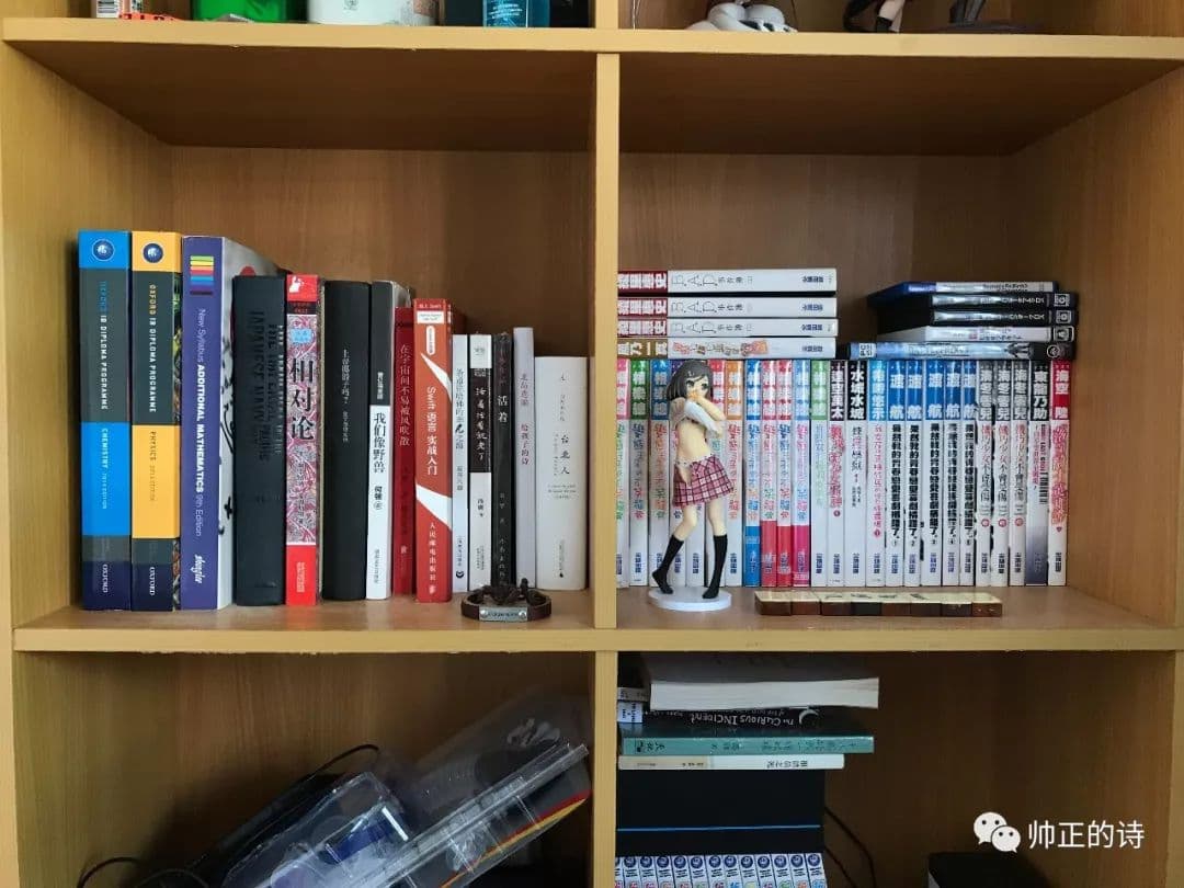 闯入七零八落的中国二次元社群
