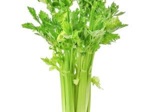 芹菜籽对痛风有用吗？科学证据告诉你答案