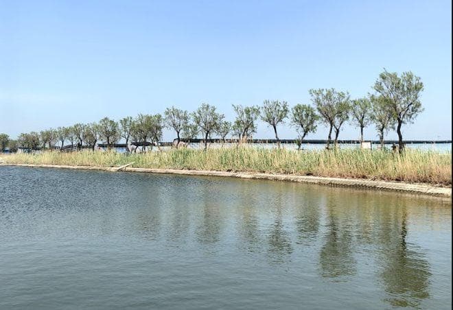 营口一日游最佳攻略，带你解锁这座宝藏海滨城市