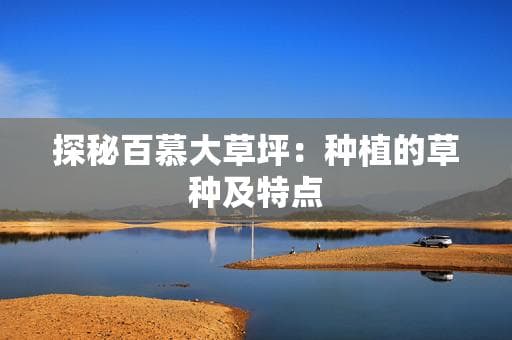 探秘百慕大草坪：种植的草种及特点