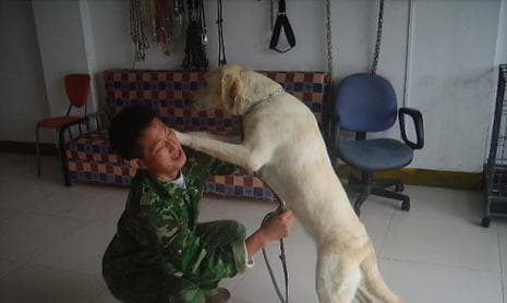 如何和宠物有效地交流？（以训犬为例，掌握有效的沟通方式）