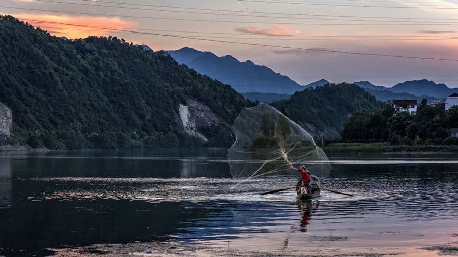 岭南春季湿气重，分享几味常用祛湿中药