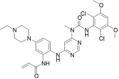 肝细胞癌治疗发展到哪了?有哪些靶向小分子药物？来看看DeepSeek的超全总结