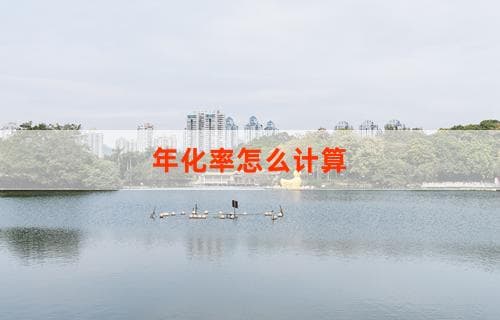 年化率计算方法详解：从简单年化率到复合年化率