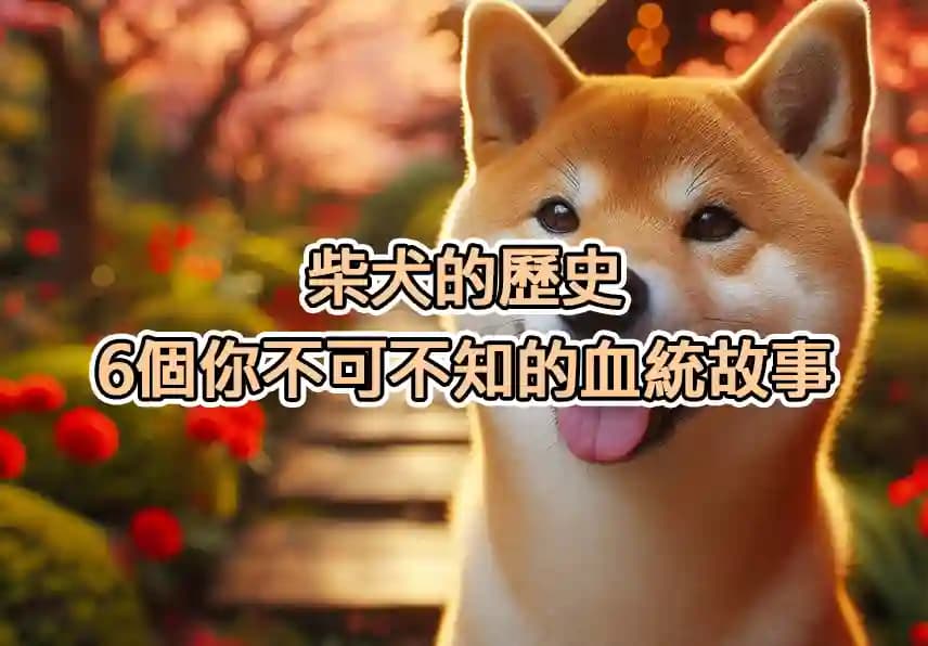 柴犬的歷史：6個你不可不知的血統故事