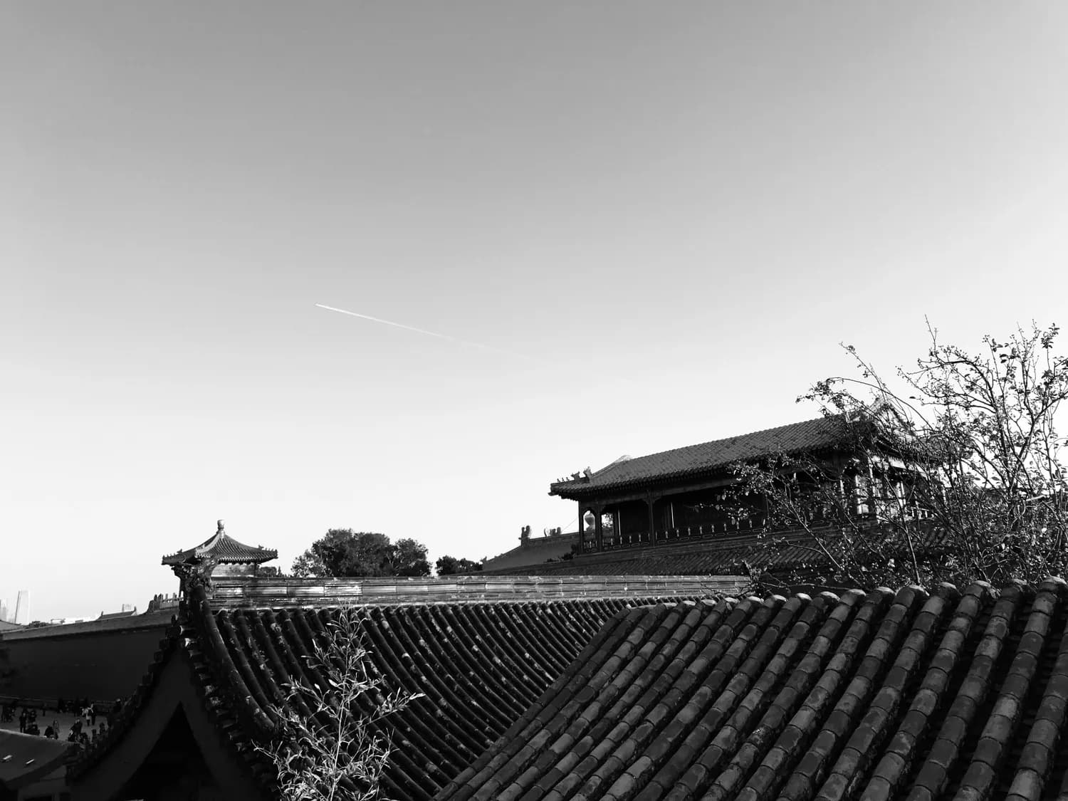 什刹海文化探访：穿越千年的古都魅力
