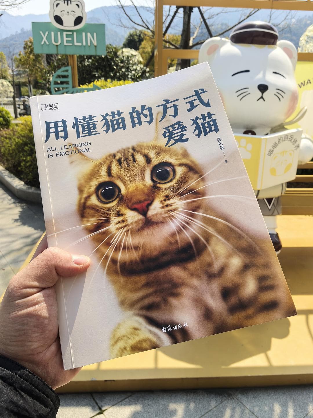 《用懂猫的方式爱猫》：铲屎官的必看心法