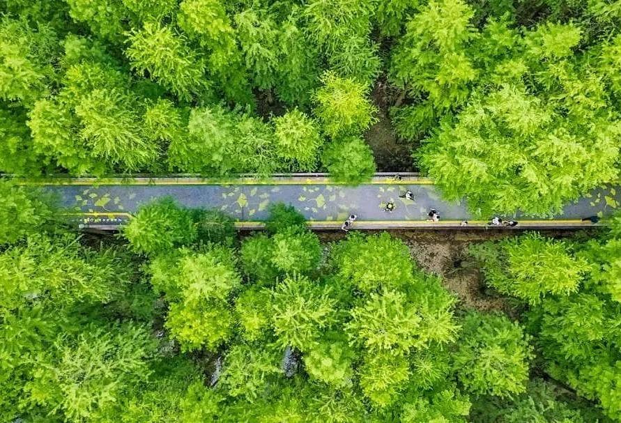 浙江11城骑行攻略：从湖景到山色，这些宝藏路线等你来打卡