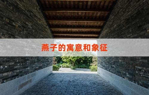 燕子的寓意和象征：传统文化中的美好象征解读