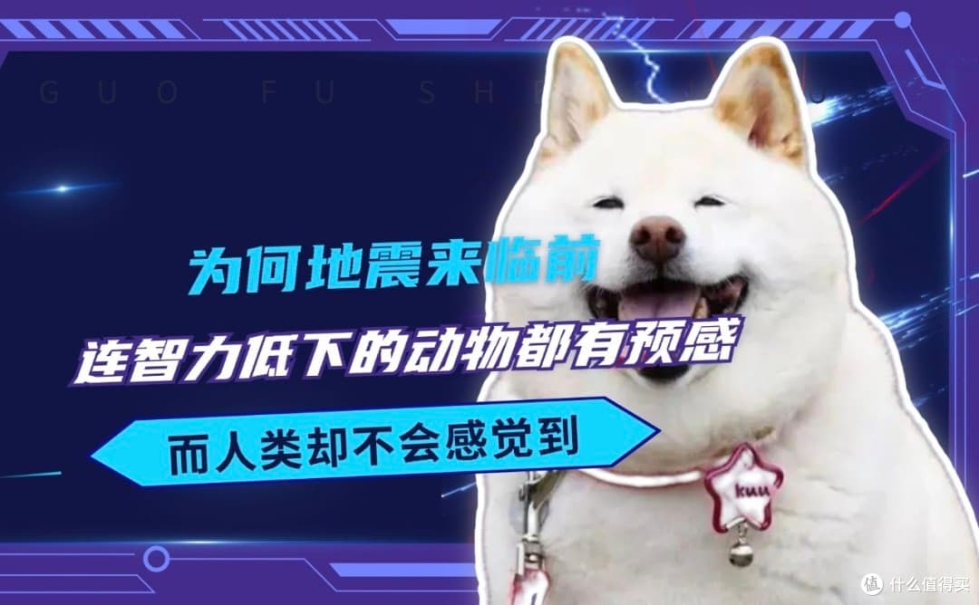 地震前动物都有什么反常举动？这些现象能预测地震吗？