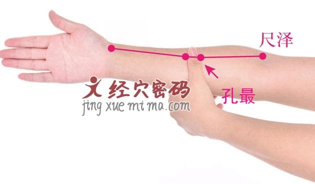孔最穴的准确位置、功效与使用方法