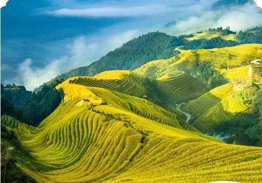 秋游桂林的理由，不只欣赏其壮美的山水景色
