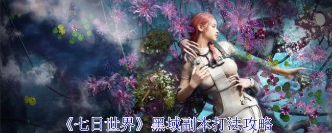 七日世界黑域副本：集火头部5步通关