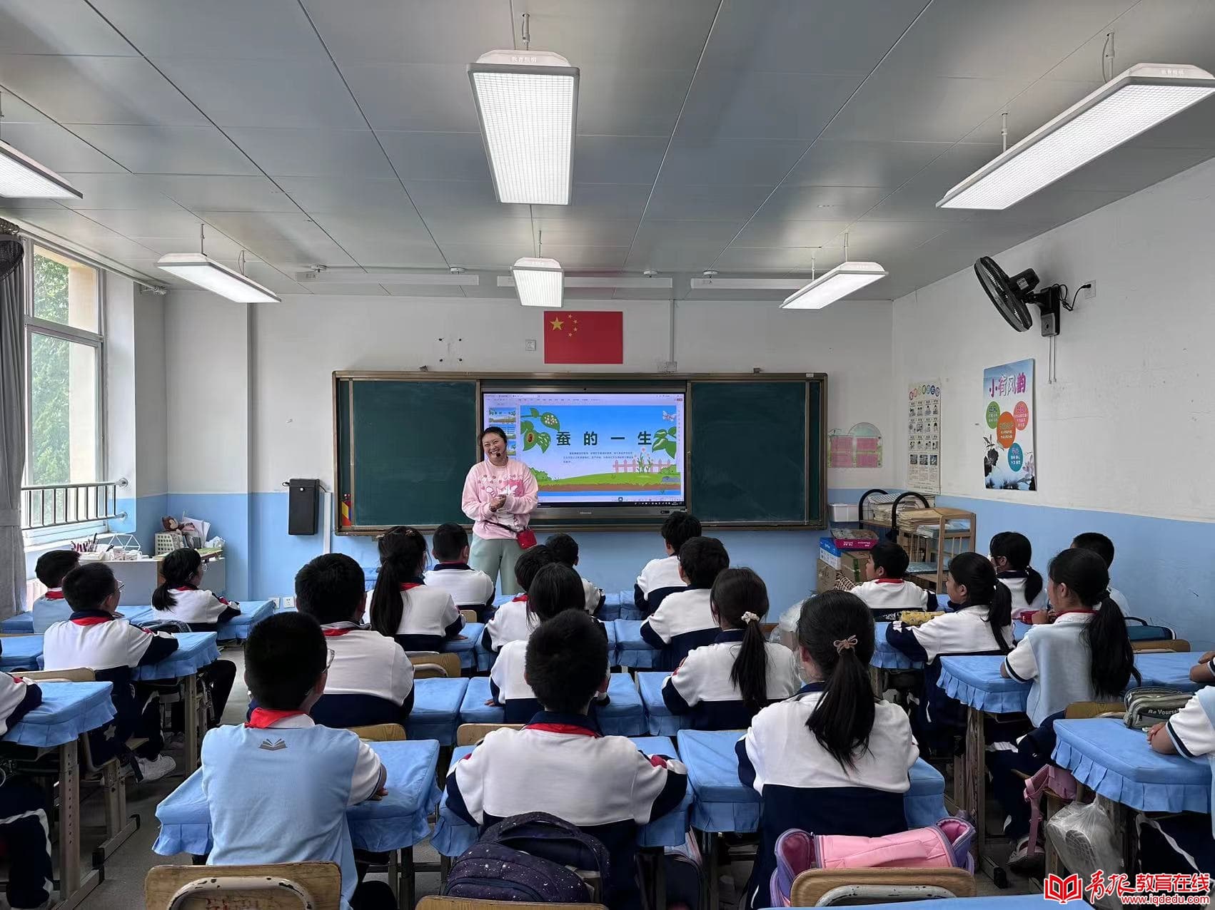 和蚕宝宝做同学是一种怎样的体验？洛二学子亲手体验“抽丝剥茧”