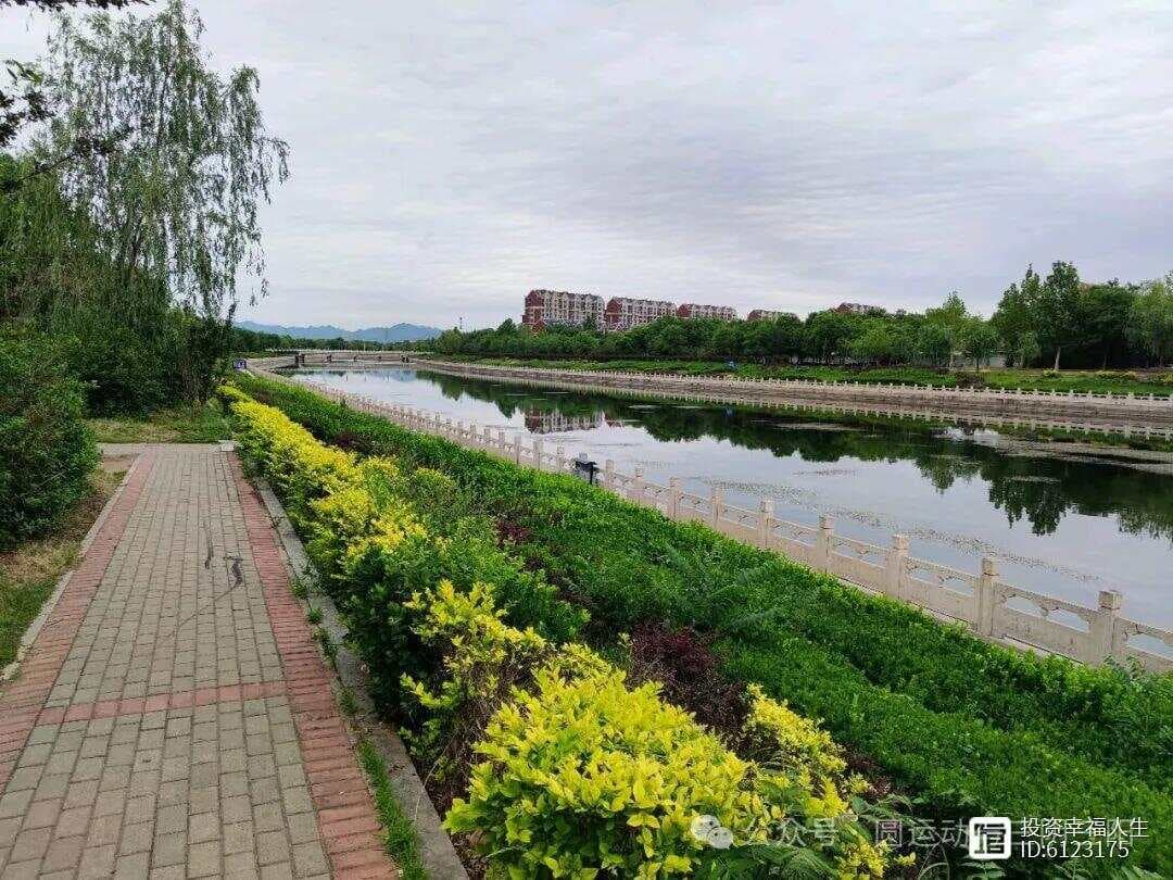 四逆汤：古中医学中的圆运动与脾脏虚寒的治愈之旅