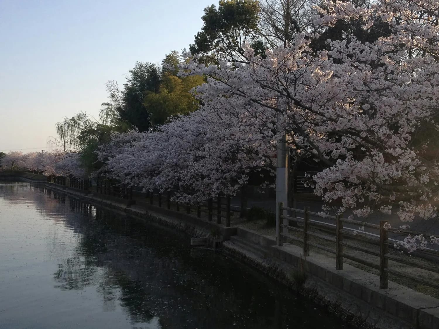 漫步西湖十景：从春晓到残雪的四季游赏指南