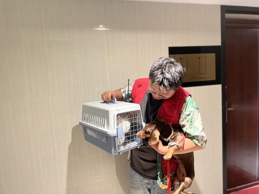 宠物经济升级：一条从生到死的新型产业链条