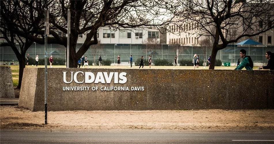 加州大学戴维斯分校博士申请要求详解