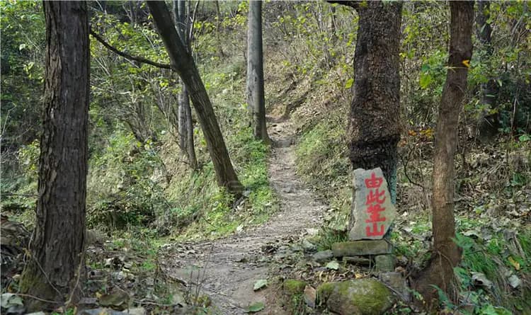 西安周边一日休闲游：爬山吸氧、看秦岭古树，人少免费公交可达