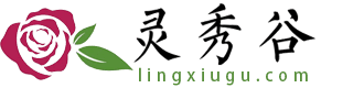 红花的功效与作用和营养价值