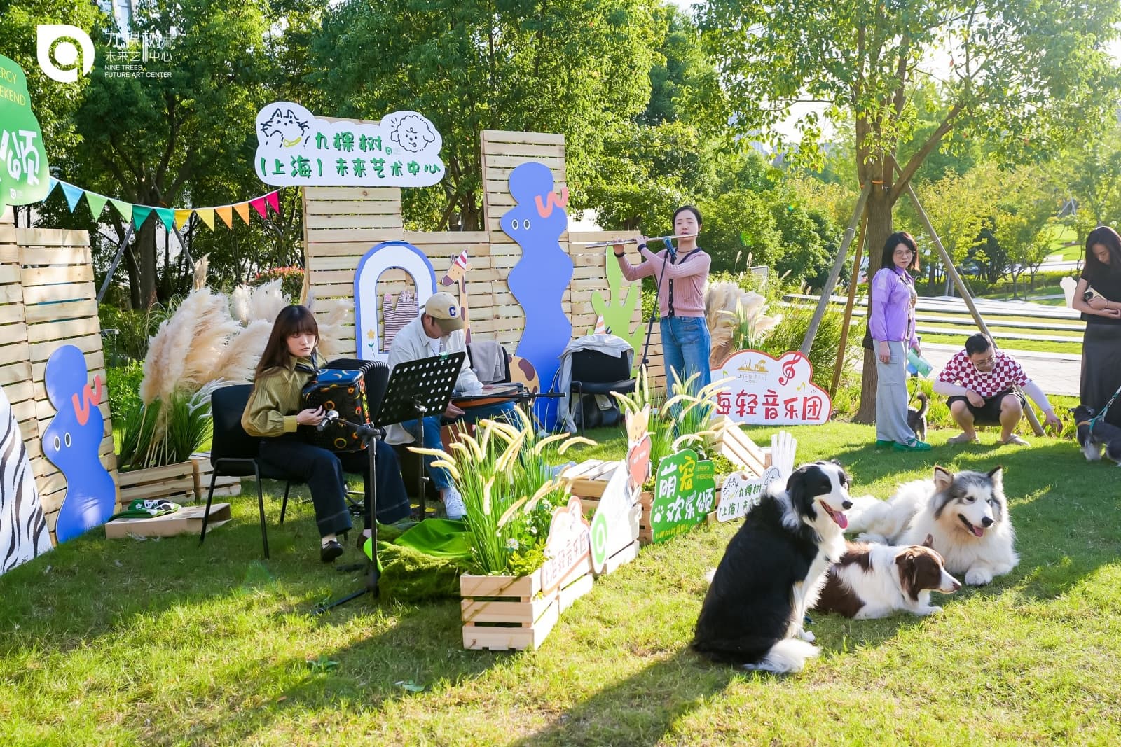 为小猫小狗奏乐，上海首个萌宠专场音乐会亮相九棵树
