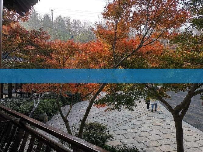 四川旅游景点作文300字左右：适合三年级学生写作指南
