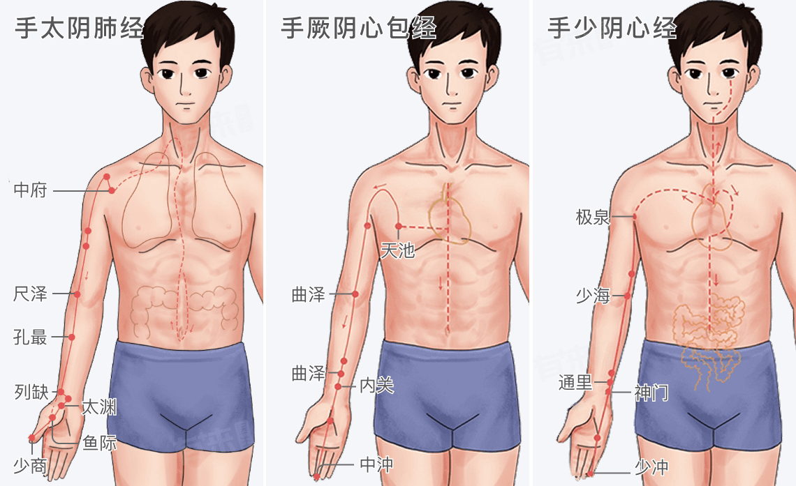 人体的经络位置图