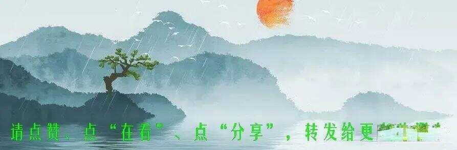 什么是综合实践活动课程？
