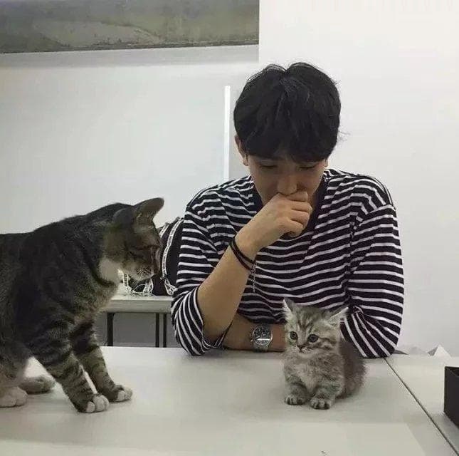 啤酒含嘌呤多少？一文详解啤酒与嘌呤的关系