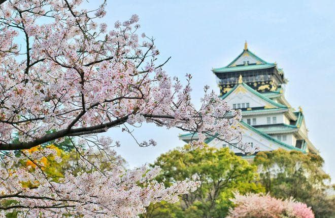 2024年日本最受欢迎居住城市排行出炉，这个地方连续7年蝉联冠军！