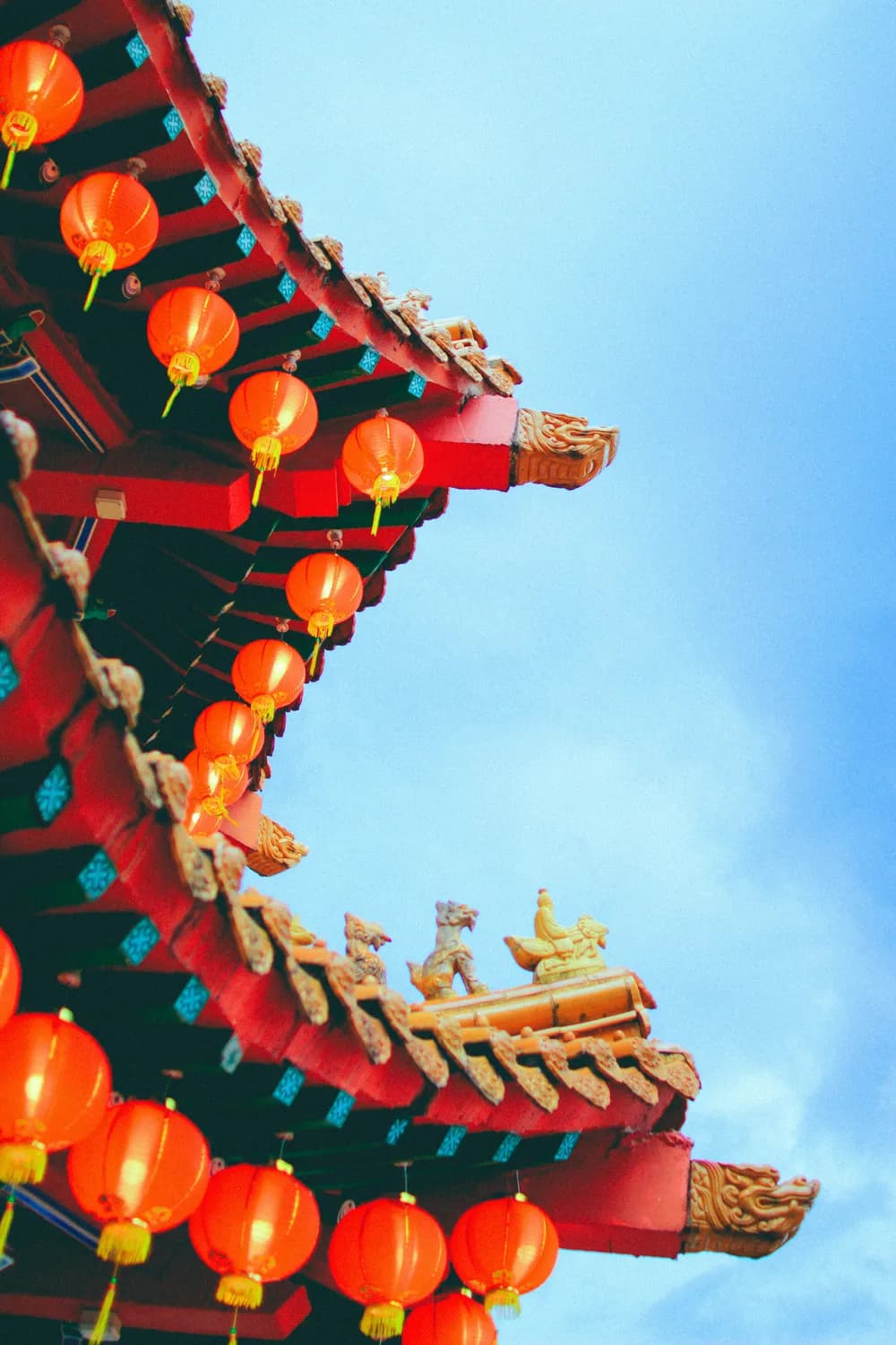 告别玄学：用科学打造真正的长命福贵