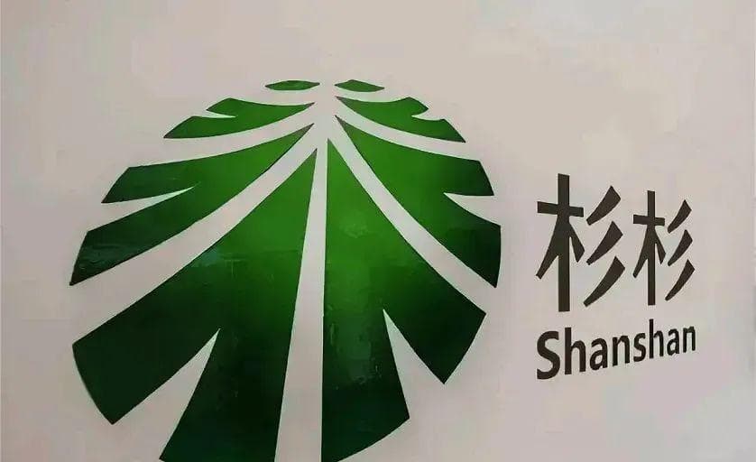 杉杉股份：材料双龙头深陷“内忧外患”