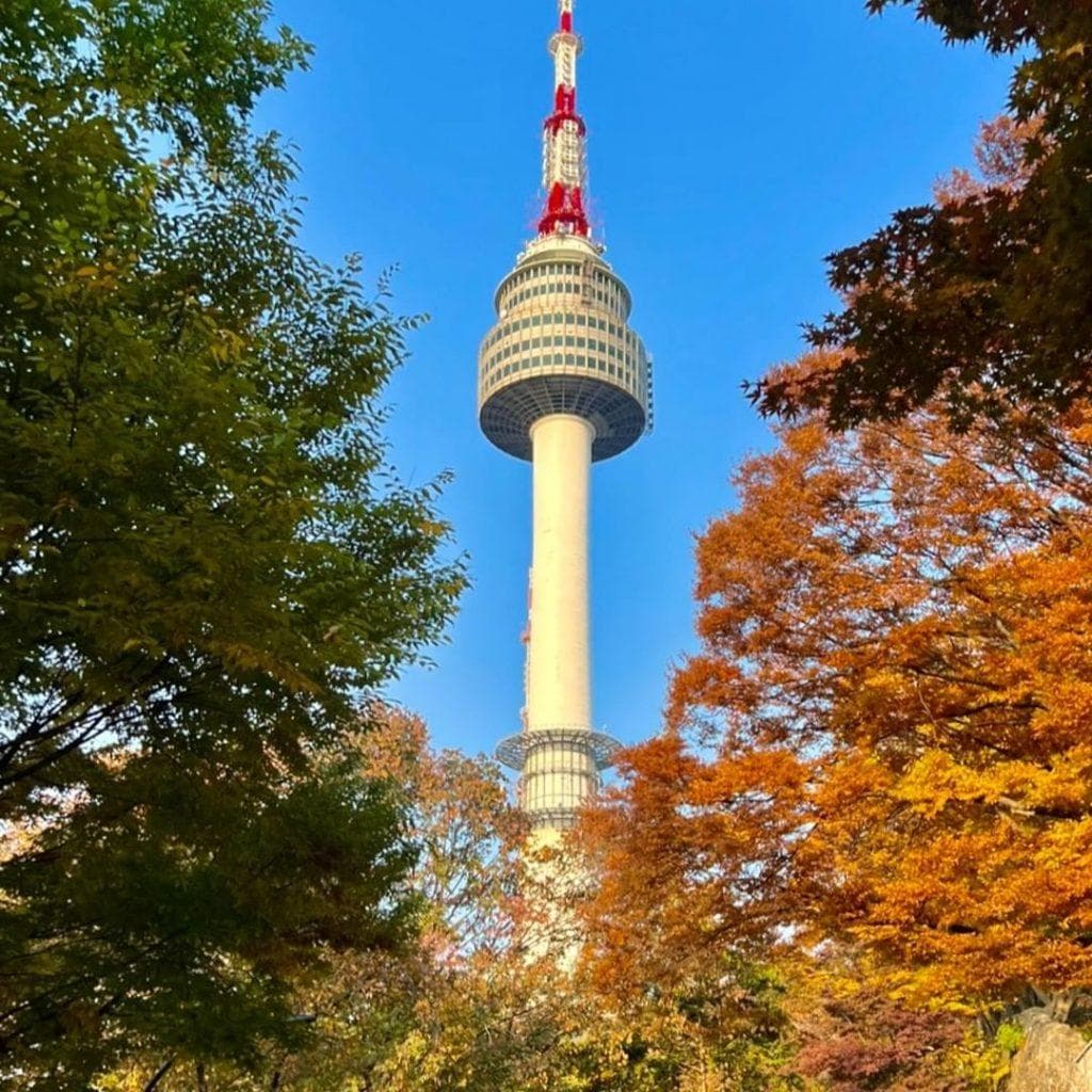 赴韩自由行必学韩文会话！5大情境实用韩语对话，点餐、购物超简单