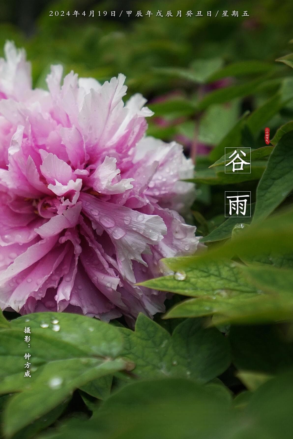 谷雨 | 量子搜索黑科技：Grover算法