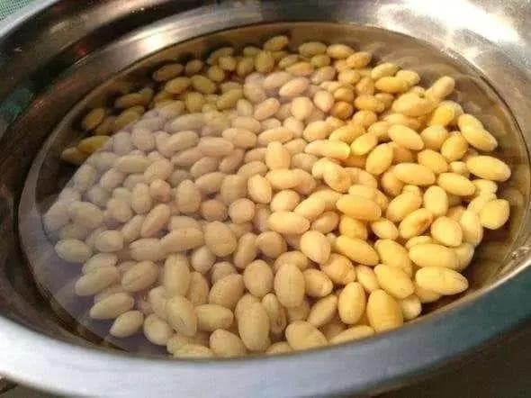 大型豆浆机使用指南：从浸泡豆子到享用美味豆浆的六个步骤
