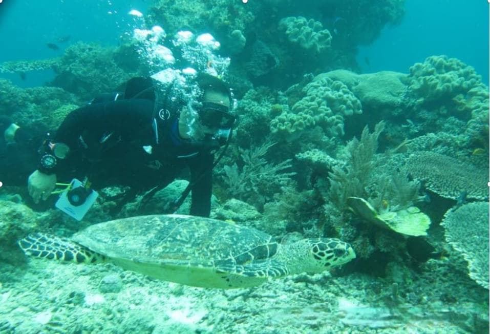 广州海关移交488件濒危动物制品，共筑生物多样性保护屏障