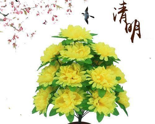 扫墓买花指南——如何选购适合祭扫的花卉（精选15种墓前花卉）