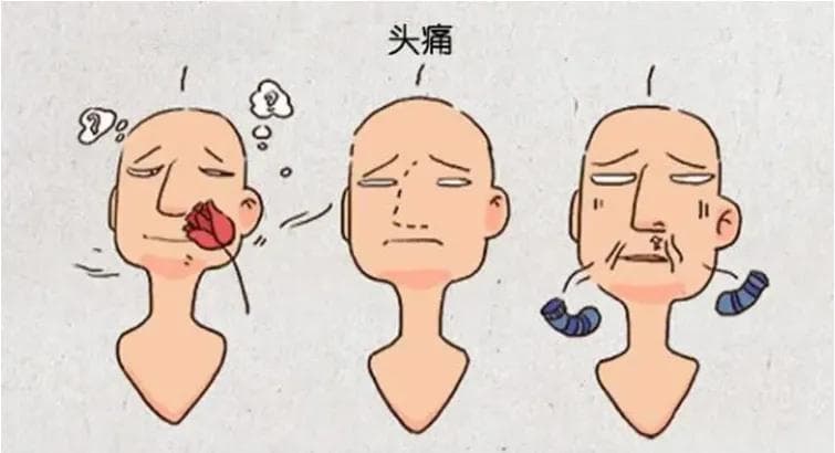 当病菌在鼻窦里“安营扎寨”