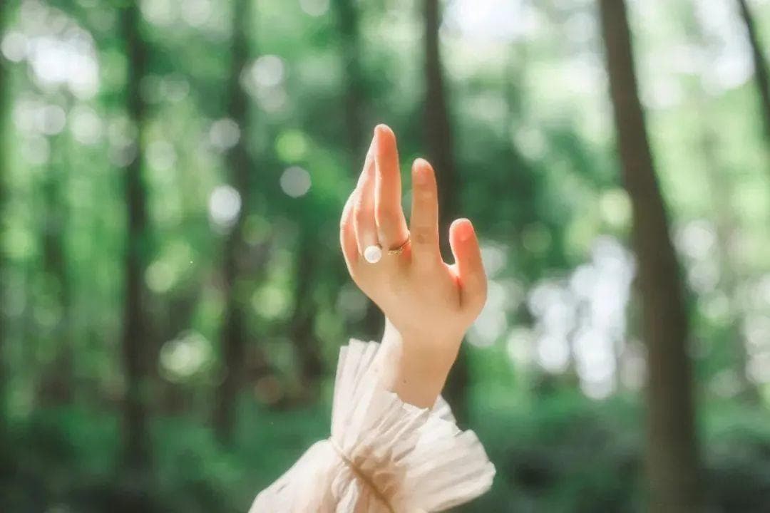 人源Ⅲ型胶原蛋白| 详细介绍、使用方法、注意事项