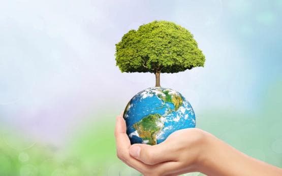 我国二氧化碳制糖技术：从实验室到产业化应用的突破